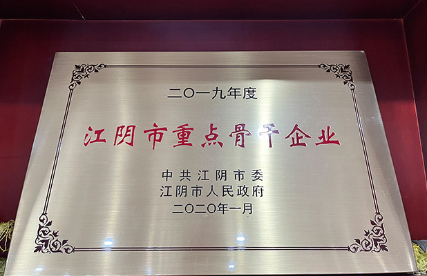江阴市重点骨干企业