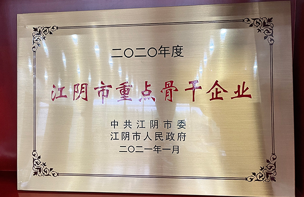 江阴市重点骨干企业
